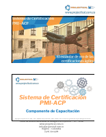 DOMINIO.pdf